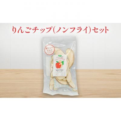 ふるさと納税 新潟市 りんごチップ(ノンフライ)セット