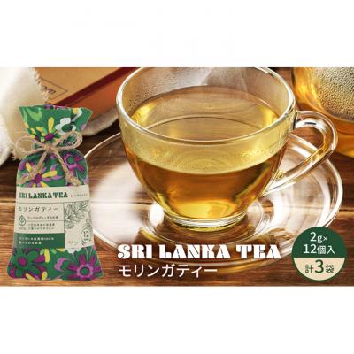 ふるさと納税 新潟市 モリンガティー/モリンガティー3袋セット