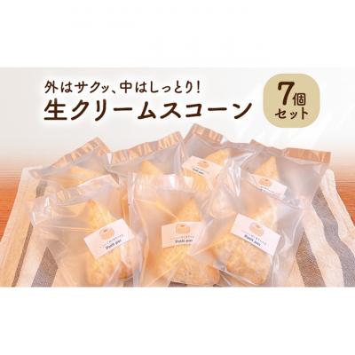ふるさと納税 新潟市 生クリームスコーン7個セット