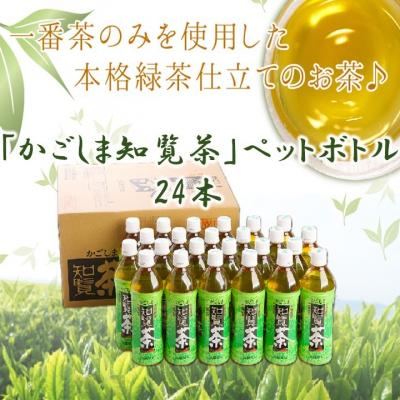 ふるさと納税 南九州市 かごしま知覧茶ペットボトル24本 | 