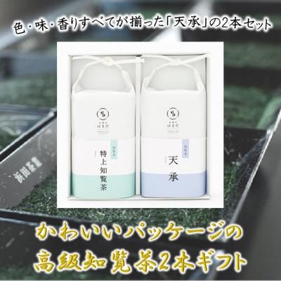 ふるさと納税 南九州市 かわいいパッケージの高級知覧茶2本ギフト | 