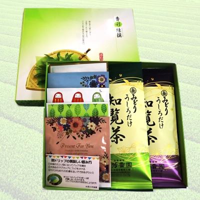 ふるさと納税 南九州市 岳みどり上級深蒸茶とお手軽茶ドリップセット |  | 01