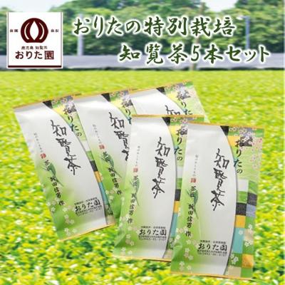 ふるさと納税 南九州市 おりたの特別栽培知覧茶5本セット | 