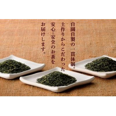 ふるさと納税 南九州市 おりたの特別栽培知覧茶5本セット |  | 01