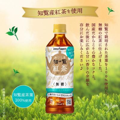 ふるさと納税 南九州市 知覧かごしま紅茶 ペットボトル24本 |  | 02
