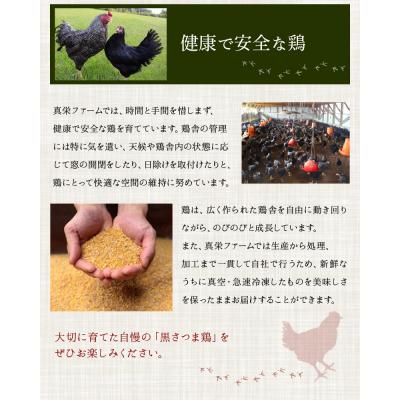 ふるさと納税 南九州市 黒さつま鶏しゃぶしゃぶ2〜3人前 |  | 03