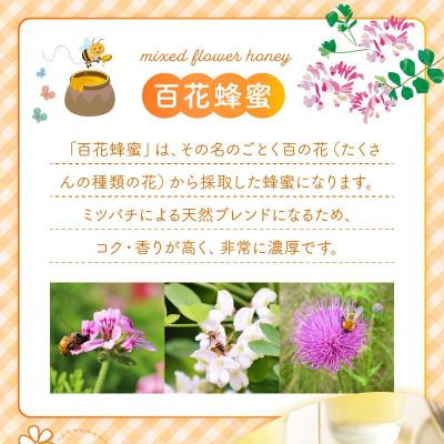 ふるさと納税 南九州市 国産百花蜂蜜600g : Yahoo!ふるさと納税 - 通販