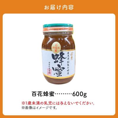 ふるさと納税 南九州市 国産百花蜂蜜600g : Yahoo!ふるさと納税 - 通販