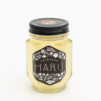 ふるさと納税 能登町 能登産天然はちみつ「HARU」アカシア 160g