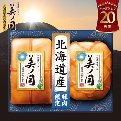 ふるさと納税 石井町 北海道プレミアム 美ノ国 ロースハム&amp;もも ハムブロック 2点セット 贈答 019-001