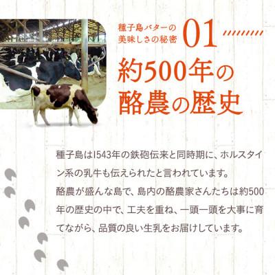 ふるさと納税 西之表市 種子島バター 5個セット |  | 01