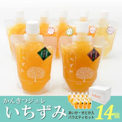 ふるさと納税 松山市 柑橘ジュレ「いちずみ」バラエティセット 14個入[簡易箱入]