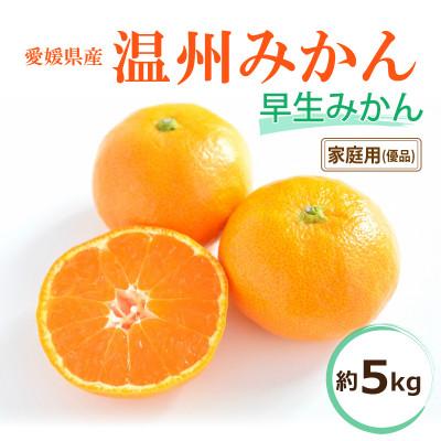 ふるさと納税 松山市 [2026年11月中旬から発送予定]温州みかん「早生」[家庭用・優品]約5kg