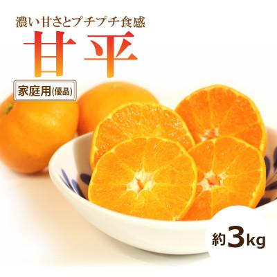 ふるさと納税 松山市 [2027年1月中旬頃から発送予定]甘平(かんぺい)<家庭用・優品> 約3kg