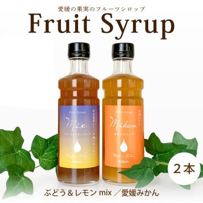 ふるさと納税 松山市 愛媛県産フルーツシロップ2本セット[みかん・ピオーネ&amp;レモン](簡易箱入り)