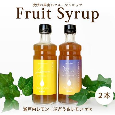 ふるさと納税 松山市 愛媛県産フルーツシロップ2本セット[レモネード・ピオーネ&amp;レモン](簡易箱入り)