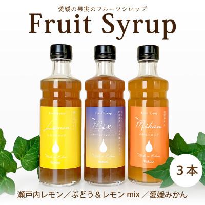 ふるさと納税 松山市 愛媛県産フルーツシロップ3本セット[レモネード・みかん・ピオーネ&amp;レモン](簡易箱入り)