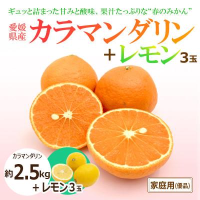 ふるさと納税 松山市 [2027年4月上旬頃から発送予定]カラマンダリン(優品)約2.5kgと瀬戸内海の島レモン3玉入り
