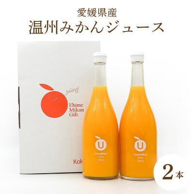 ふるさと納税 松山市 温州みかんジュース 2本セット