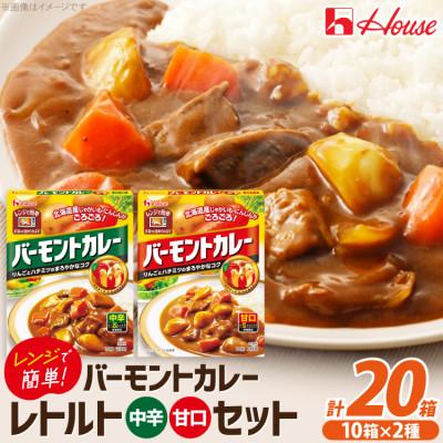 ふるさと納税 江南市 ハウス バーモントカレー 甘口&amp;中辛 ×各10個 レトルト食品 レンジ調理対応