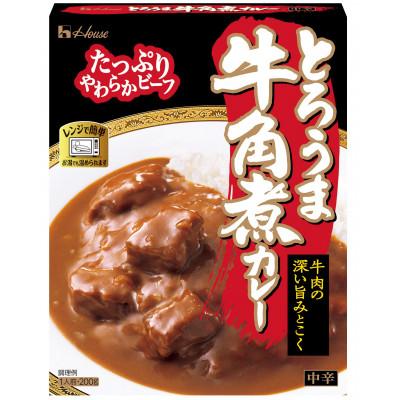 ふるさと納税 江南市 ハウス とろうま牛角煮カレー 中辛 200g ×10個 レトルトカレー レンジ調理対応
