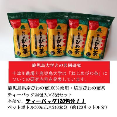 ふるさと納税 南大隅町 『ねじめびわ茶24』ティーバッグ[5袋] ノンカフェイン