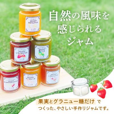 ふるさと納税 市原市 季節のジャム2本セット |  | 01