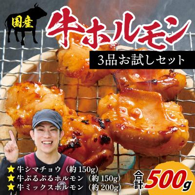 ふるさと納税 永平寺町 国産牛ホルモン3品 お試しセット 約500g