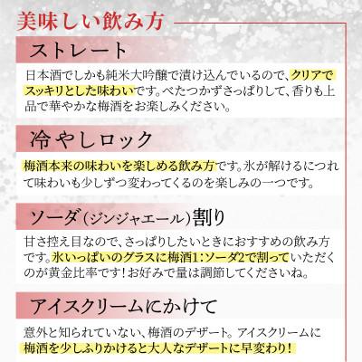 ふるさと納税 永平寺町 白龍 梅酒 Dragon Water BENISASHI 500ml |  | 02