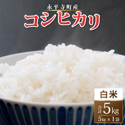 ふるさと納税 永平寺町 [令和8年産 新米 先行予約][白米]永平寺町産 コシヒカリ 5kg [A-033105]