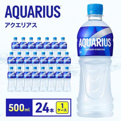 ふるさと納税 明石市 アクエリアス 500ml 1ケース 24本 スポーツ