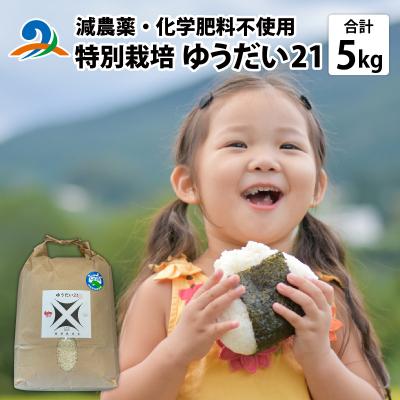 ふるさと納税 南越前町 [先行予約][令和8年産]ゆうだい21 5kg×1袋(計5kg)