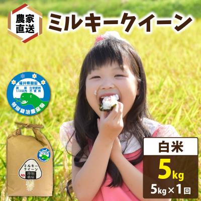 ふるさと納税 南越前町 [先行予約][令和8年産][農家直送] ミルキークイーン 5kg×1袋(計5kg)白米