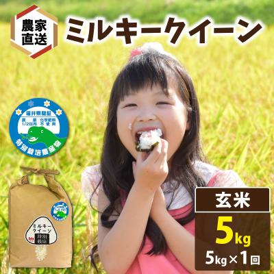 ふるさと納税 南越前町 [先行予約][令和8年産][農家直送] ミルキークイーン 5kg×1袋(計5kg)玄米