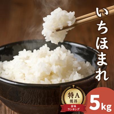 ふるさと納税 南越前町 [先行予約][令和8年産][農家直送]いちほまれ 5kg×1袋
