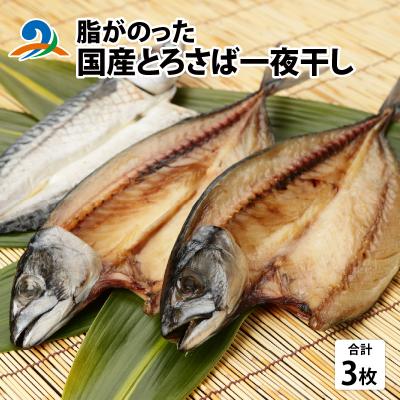 ふるさと納税 南越前町 脂がのった 国産 とろさば 一夜干し 3枚
