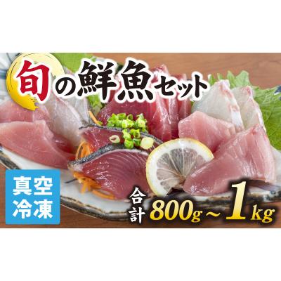 ふるさと納税 南越前町 [日本海鮮魚]漁師厳選鮮魚真空冷凍セット 約800g〜1.0kg(3種以上)