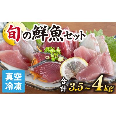 ふるさと納税 南越前町 [日本海鮮魚]漁師厳選鮮魚真空冷凍セット約3.5g〜4.0kg(5種以上)