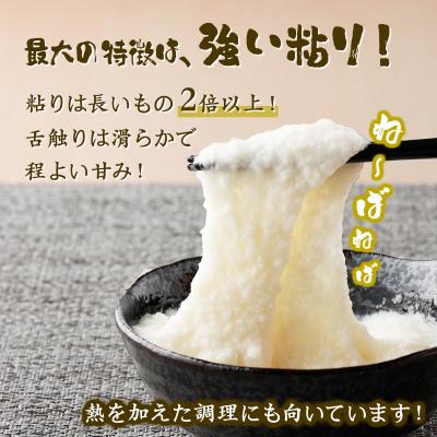 ふるさと納税 七戸町 ネバリスター冷凍とろろパック(50g×30個) |  | 03