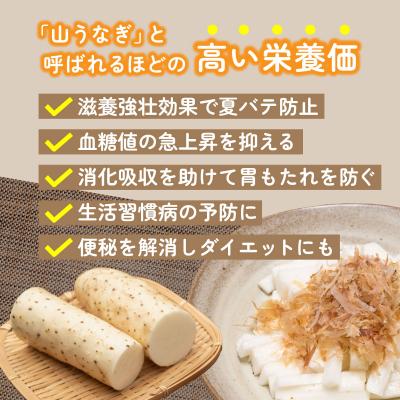 ふるさと納税 七戸町 青森県産 ネバリスター スティック(80g×5個)&とろろ(50g×5個)セット |  | 02