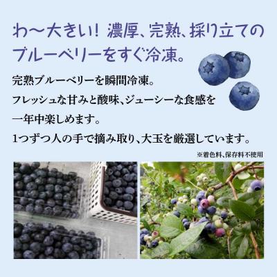 ふるさと納税 七戸町 【令和8年度産】そのまま食べられる 冷凍ブルーベリー(300g)2袋セット |  | 01