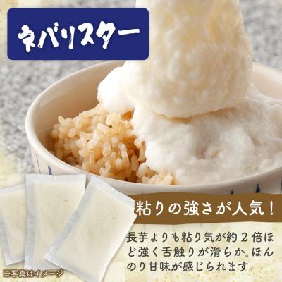 ふるさと納税 七戸町 冷凍ネバリスターとろろパック+冷凍長芋とろろパック 4種 各50g×5個【02402-0663】 |  | 03