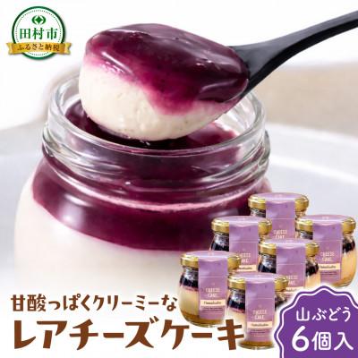 ふるさと納税 田村市 山葡萄チーズケーキ 6個セット