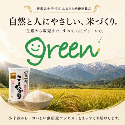 ふるさと納税 小千谷市 【新米】令和8年産 魚沼産コシヒカリ 10kg 特別