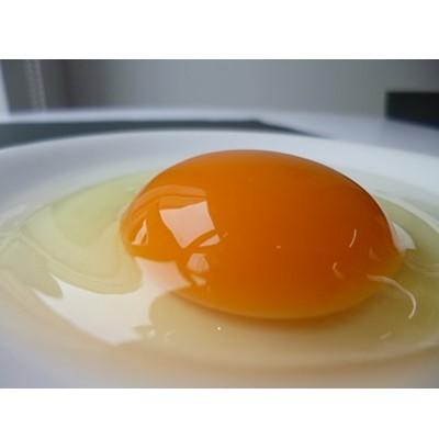 ふるさと納税 岡崎市 「地元ブランド」テツマEMたまご 濃厚な味わいたまご 40個入り