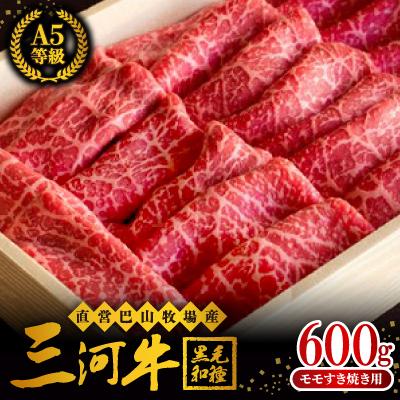 ふるさと納税 岡崎市 三河牛(黒毛和種)A5等級モモすき焼き用600g 直営巴山牧場産