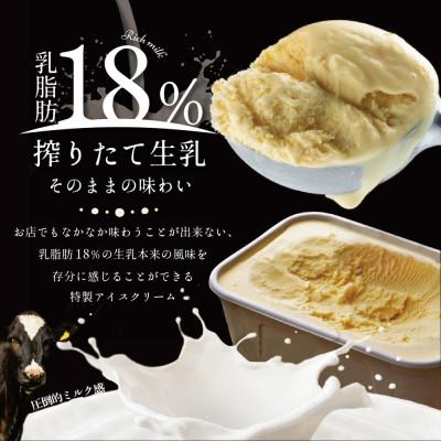 ふるさと納税 別海町 バニラ アイスクリーム 大満足 2L ファミリー