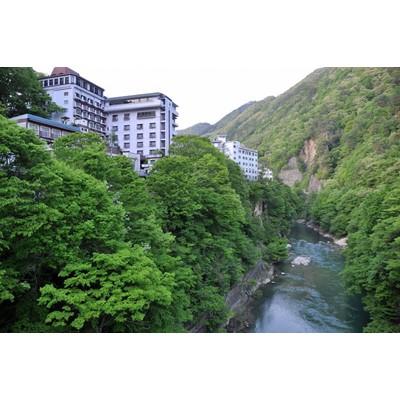 ふるさと納税 沼田市 老神温泉で使える旅館「宿泊利用補助券」A 3枚