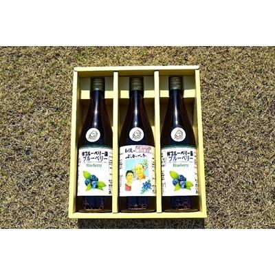 ふるさと納税 沼田市 [3本セット]40%果汁入りブルーベリー飲料720ml