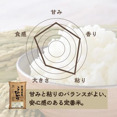 ふるさと納税 大網白里市 【新米 令和8年産】2年連続特A評価! 千葉県 米 コシヒカリ 10kg (5kg ×2袋) |  | 02